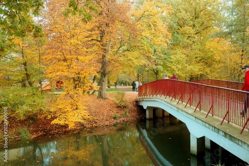 bridge in autumn