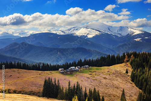View from a hiking trail of a spring pasture, fields of blooming crocuses, shepherd huts on Kukul Ridge near Pid-Berdy Mountain, backed by the Chornohora range of Ukraine.