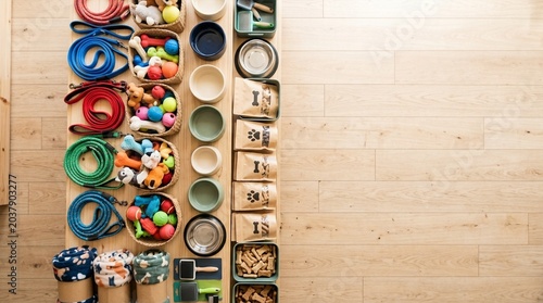 Organized collection of dog supplies and pet toys neatly arranged on a wooden floor