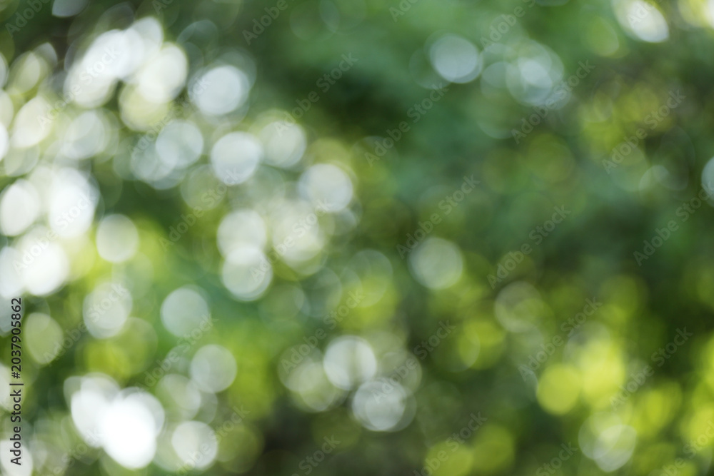 Fototapeta premium Blurred view of green and light blue background. Bokeh effect