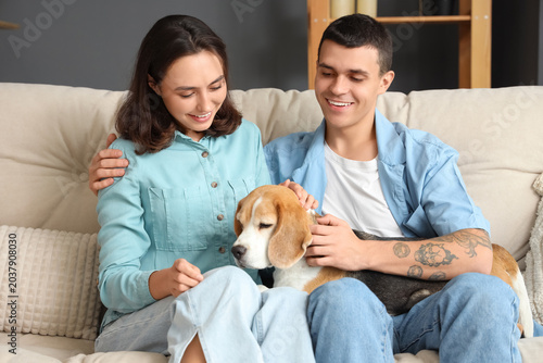 Young couple with cute Beag...