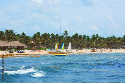 Sailing boats at beach with palm trees.