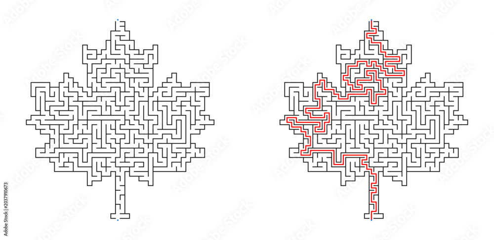 Obraz premium Maple leaf maze puzzle with solution and without