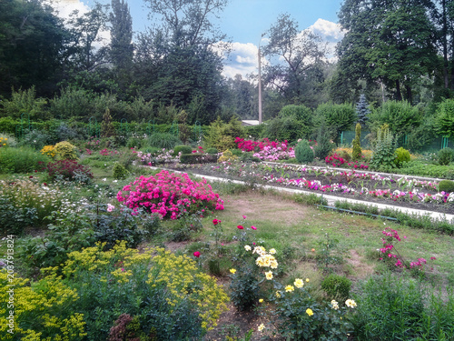Beautiful blooming flower beds in the botanical garden of Zaporizhzhia, Ukraine. The scenic summer landscape features diverse flora and lush green trees under a cloudy sky in a public park