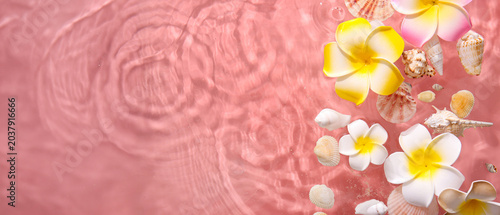 Beautiful plumeria flowers ...