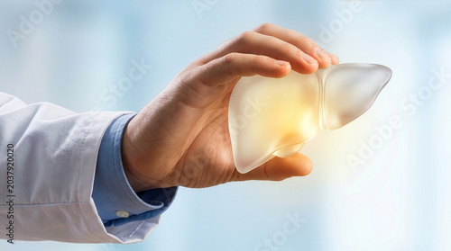 Doctor hand holding glowing translucent 3D liver model against blue background.