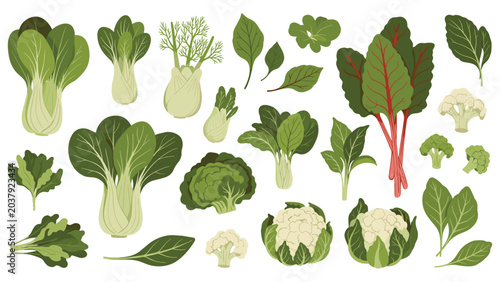 Extensive collection of various green leafy vegetables including kale, spinach, chard, and cabbage on a white background.
