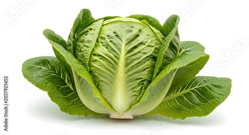 Fresh lettuce isolated on white background