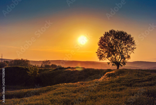 Photos Lone tree silhouetted against a vibrant sunset in a serene landscape