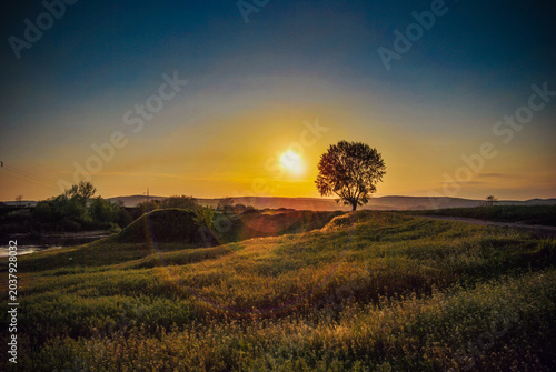 Konstfotografi Sunset over tranquil countryside with a solitary tree silhouetted against the golden sky