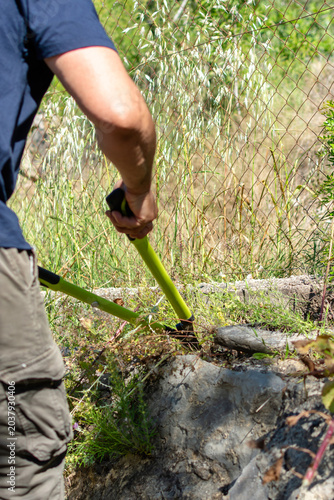 Vertical close up of hands cutting grass with garden shears