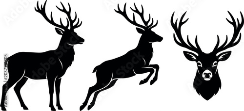 Fotografie Black deer silhouettes with antlers