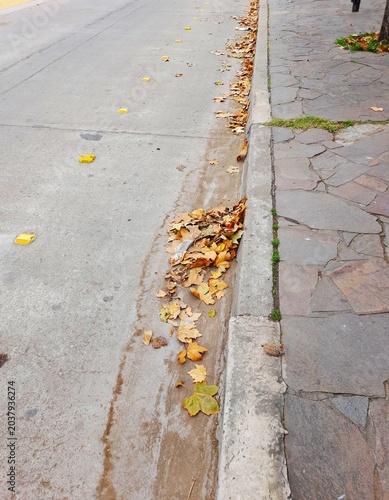 Valokuva Hojas secas de otoño acumuladas en el cordón de la calle urbana obstruyen las bocas de desagüe pluvial por falta de limpieza