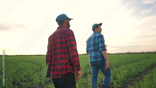 Farmer walks ahead green field. Man follows observing agriculture teamwork. Soil underlines nature success for farmer. Teamwork leads crop growth agriculture. Field stretches showing teamwork effort.