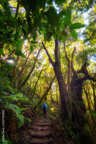 Ökologischer Tourismus im Wald El Cedro auf La Gomera