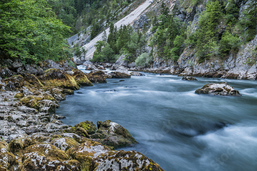 Mountain River Forest Landscape with Flowing Water