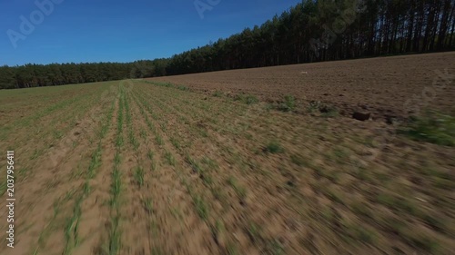 FPV Drone Flight Over Agricultural Fields with Forest Edge