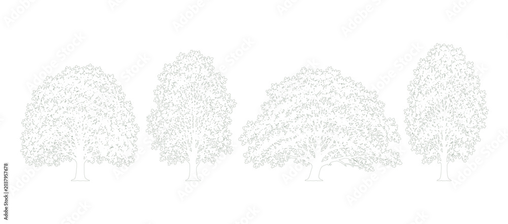 Fototapeta premium Upright Deciduous Tree Collection Side Elevation Detailed Outline Vector for Landscape Architecture and Architectural Drawing