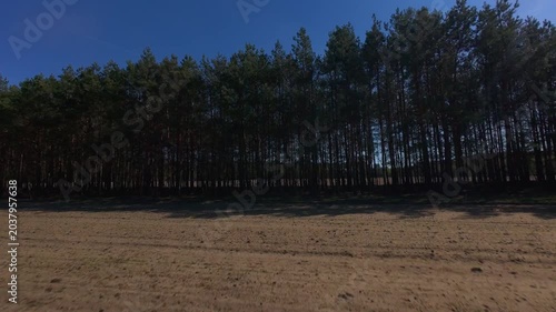 FPV Drone Flight Over Agricultural Fields and Pine Forest