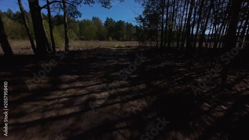 FPV Drone Flight Over Agricultural Fields and Pine Forest