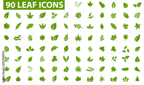 Green floral alphabet letters made from eco leaves and natural icons plants design