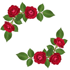 Red roses corner border frame isolated on transparent background
