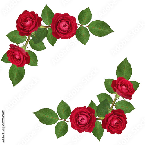 Red roses corner border frame isolated on transparent background