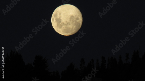 Tableau sur toile full moon in the night