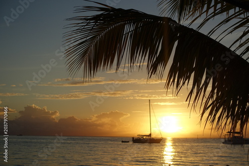 Foto Sunset over the Marina, Huahine Island, French Polynesia