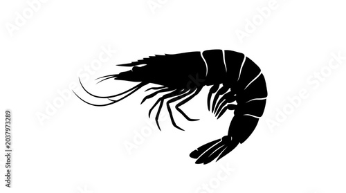Bild auf Leinwand Shrimp Silhouette Against A White Background Minimalist Marine Creature