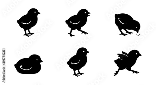 Foto Chicks Vector Icons, Cute Baby Bird Silhouettes, Farm Animal Graphics, Spring Ea