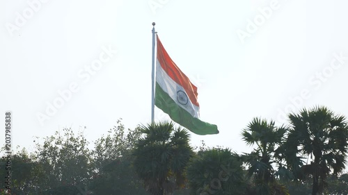 Large Indian tricolor flag flying high on flagpole with tropical tree row