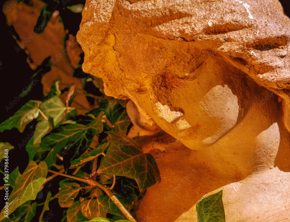 Obraz premium Warm sunlight illuminating a peaceful angel statue surrounded by ivy leaves.