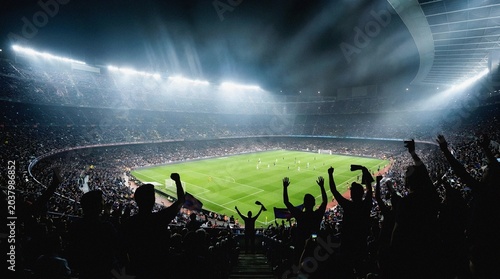 Silhouetted fans cheering at a packed soccer stadium during a night game