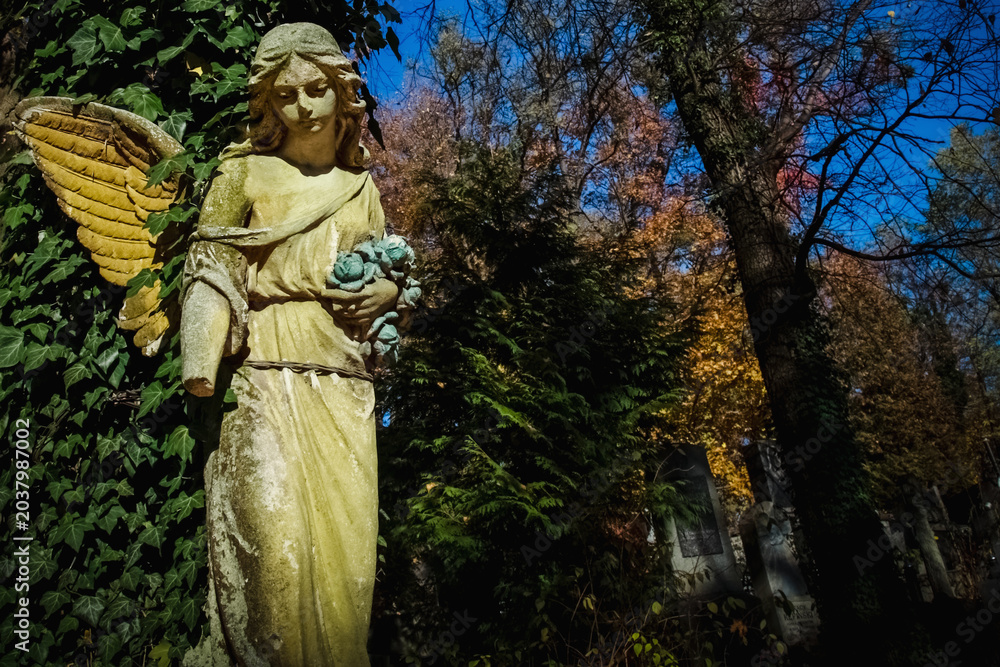 Obraz premium Angel statue in cemetery surrounded by autumn trees and ivy. Copy space for text or design.