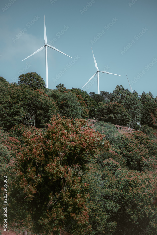 Φωτογραφία White wind turbines rising above wooded hills under clear blue sky, illustrating