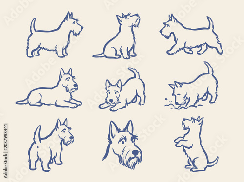 Photography Scottish Terrier dog vector set, hand drawn blue line art of 9 scottish terrier