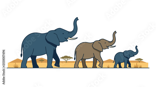 Photography A family of three elephants walking together in a line.