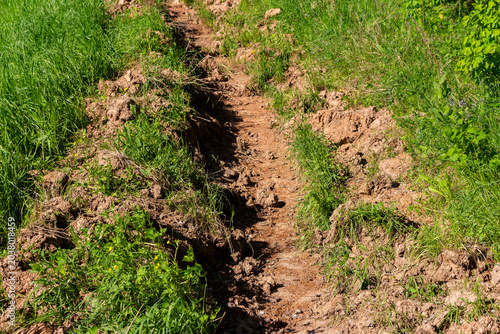 Foto Freshly plowed firebreak trench in soil between green meadow grass and woodland