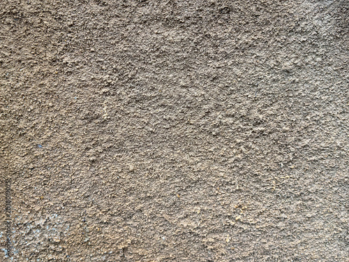 Roughcast architectural surface featuring fine aggregates and an organic, weathered appearance