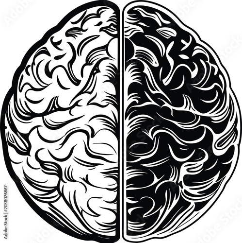 human brain vector illustration