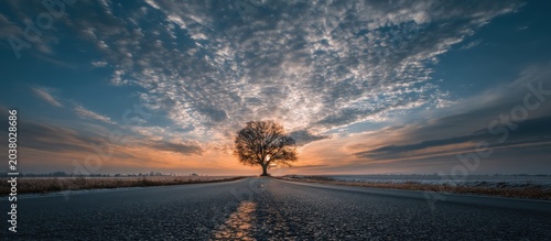Road leads toward a silhouetted tree under a dramatic cloudy sky during sunset or sunrise