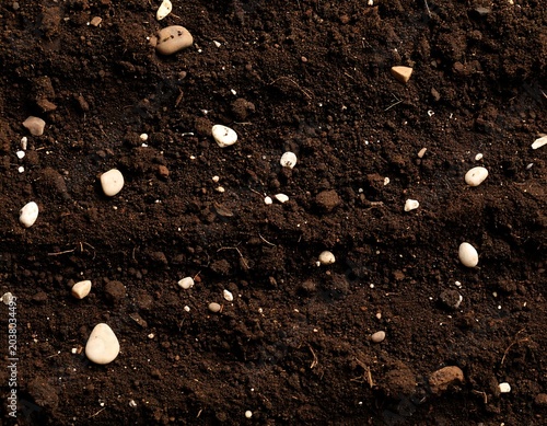Dark soil surface with small stones and bits of organic matter