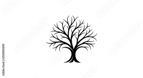 Foto Black silhouette of a tree.
