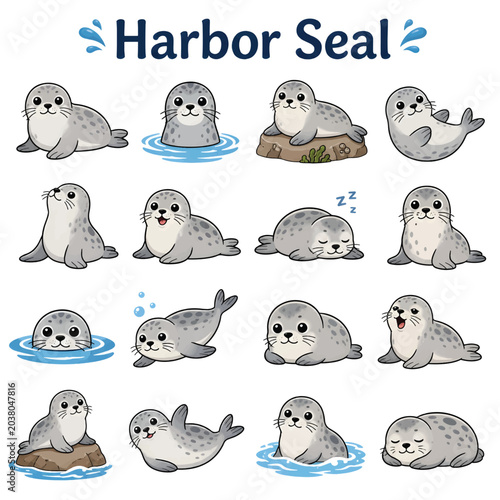 Photos Harbor Seal Line Art Vector Icon – Marine Mammal Outline Illustration