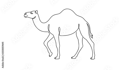 Obraz na płótnie Modern one hump camel outline vector continuous line desert animal design