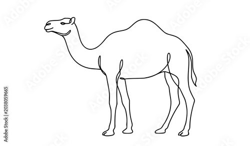 Bild auf Leinwand One hump camel continuous line drawing minimalist desert animal vector illustrat