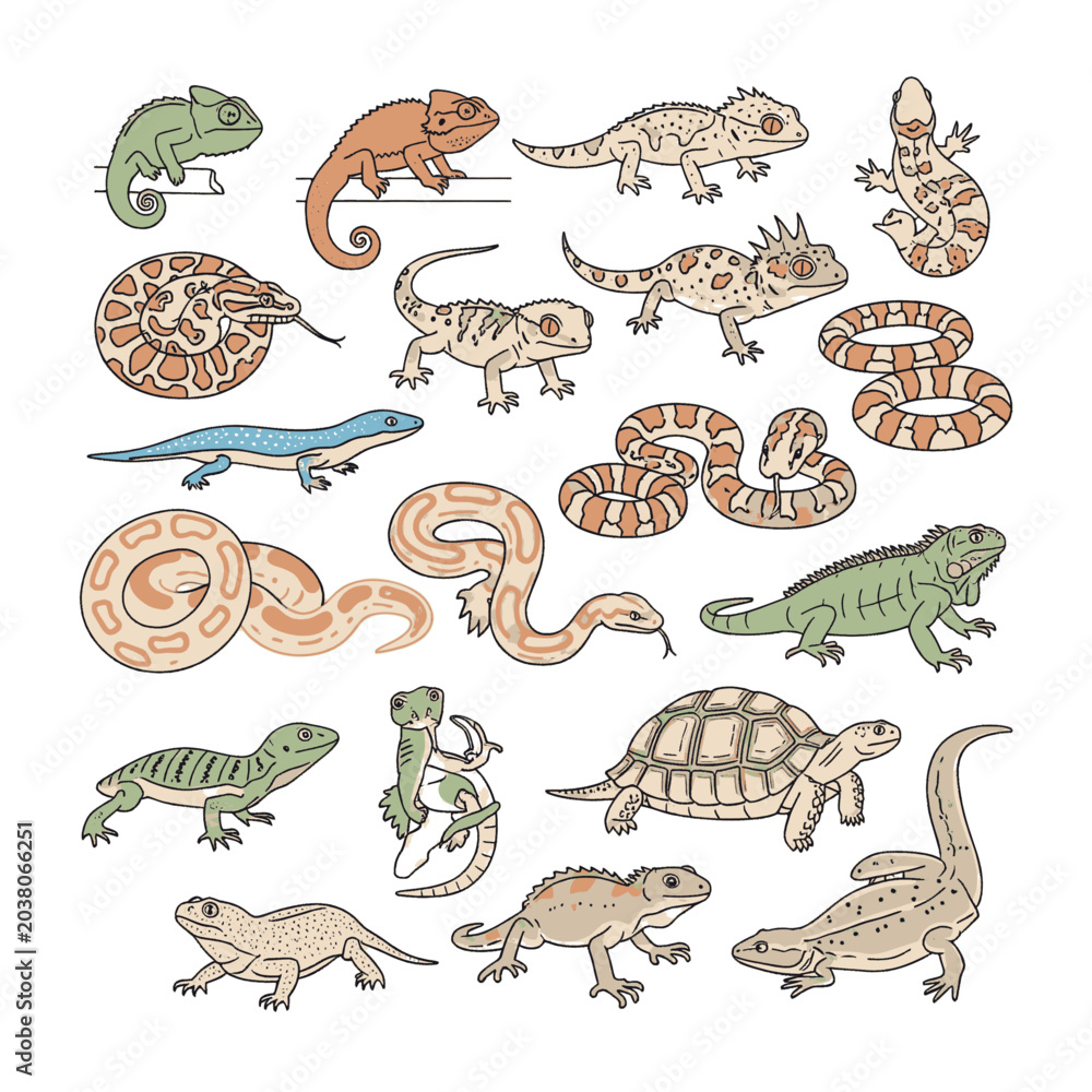 Fototapeta premium Collection of various reptiles and amphibians including lizards, snakes, chameleons, and turtles, depicted in a flat, illustrative style.
