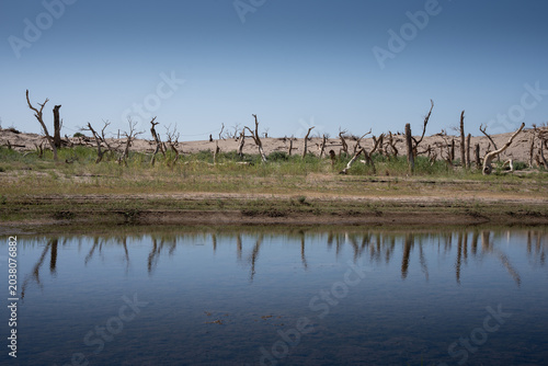 фотографія Mirror water scenery of poplars near ancient desert ruins, Ejina, Inner Mongolia