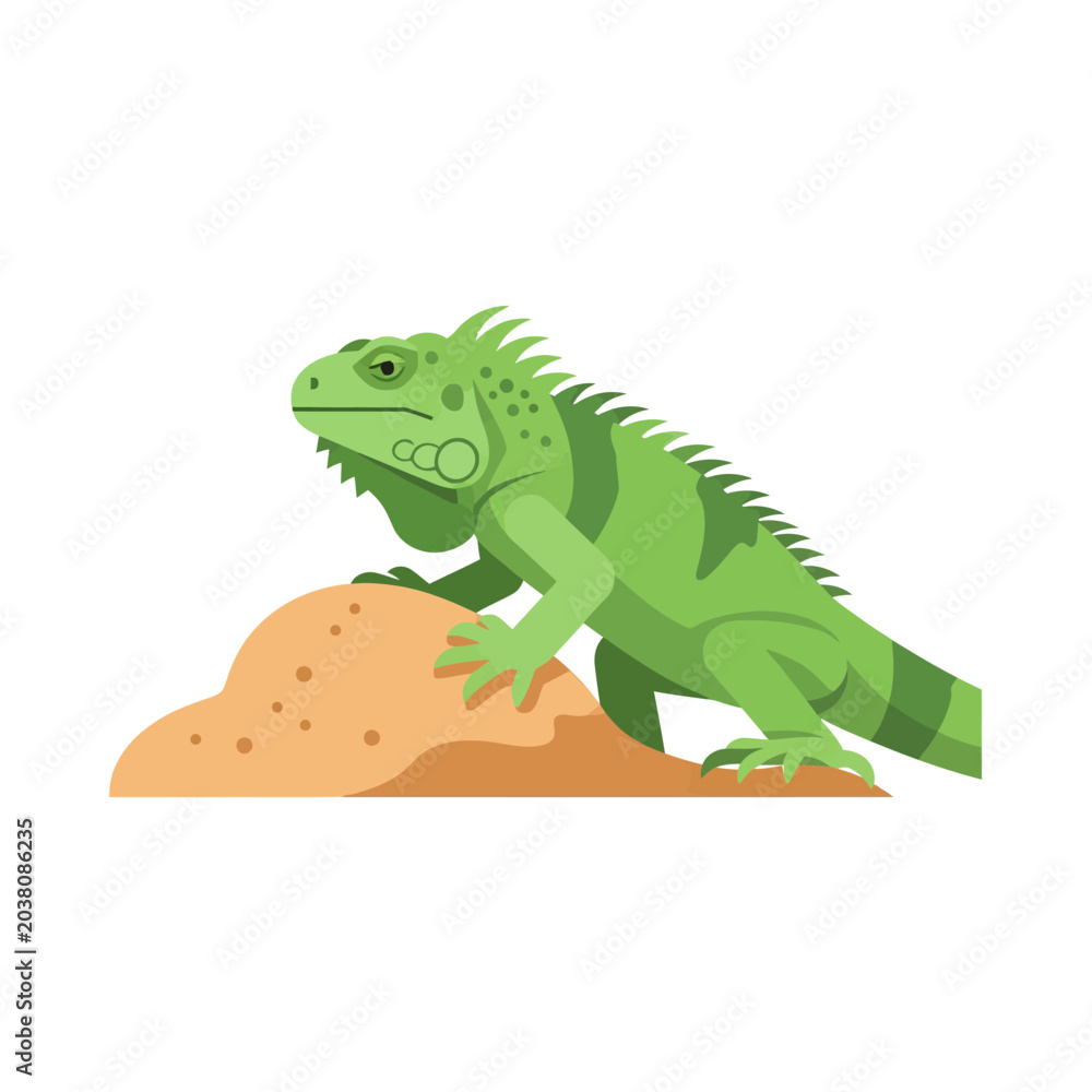 Fototapeta premium Green iguana lizard climbing on a sandy desert mound